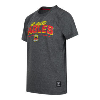 Go Ahead Eagles t-shirt schuin